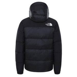 کت اورجینال برند The north face مدل Hmlyn Down Parka کد 59890714